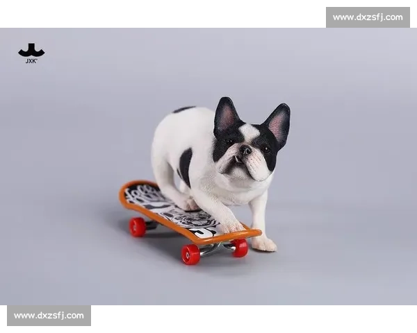 法斗滑板宽窄巷！成都萌宠又添新网红打卡地