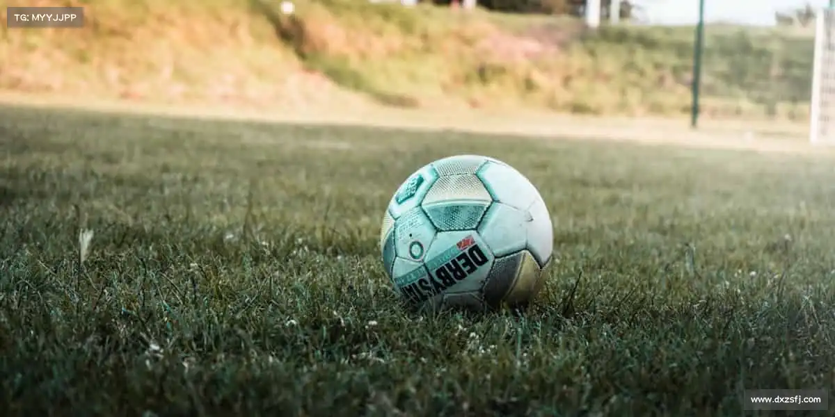 为什么选择我们